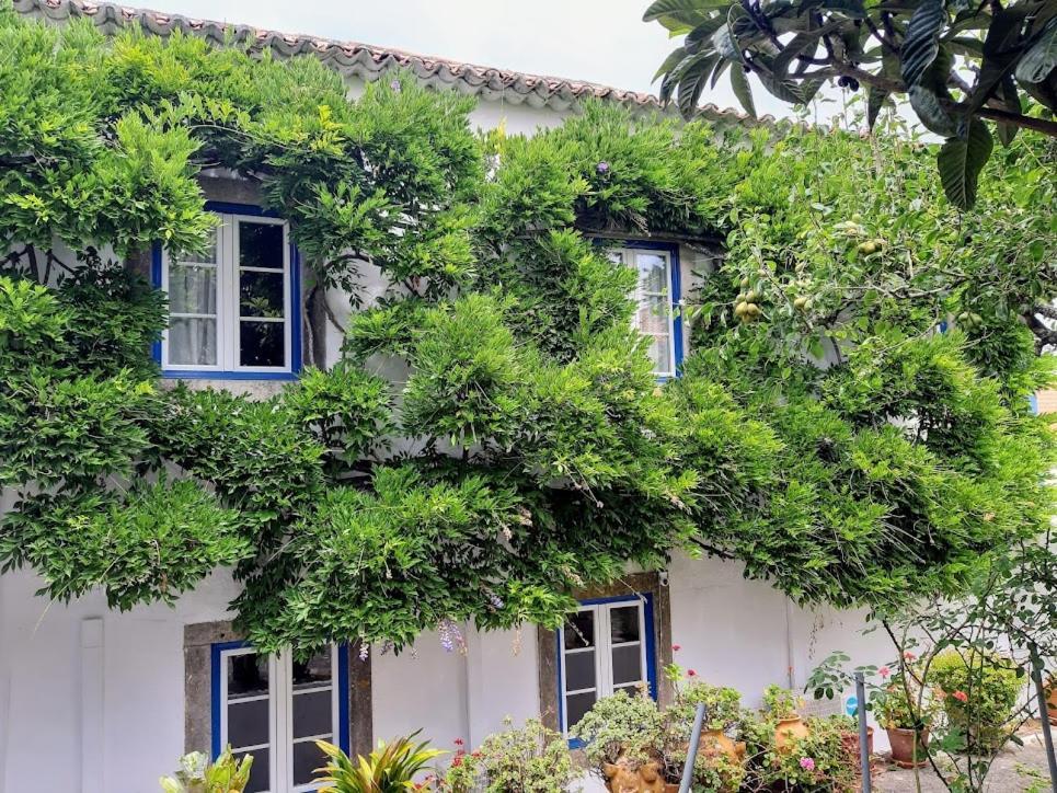 Vila Casa Do Sobral Óbidos Eksteriør billede
