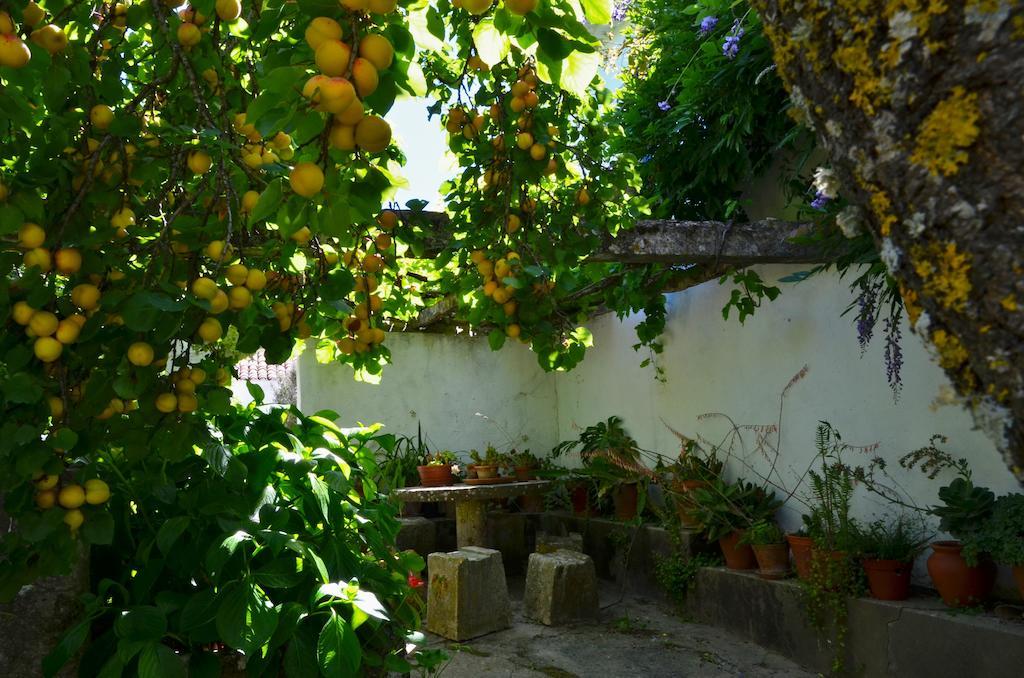 Vila Casa Do Sobral Óbidos Værelse billede