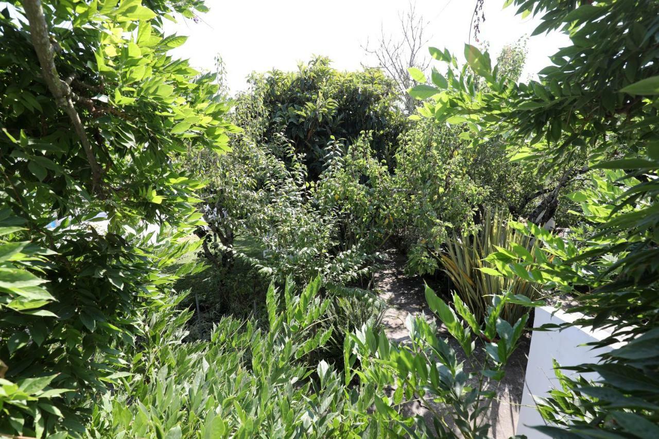 Vila Casa Do Sobral Óbidos Eksteriør billede
